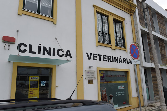 Veterinary Clinic Portugal