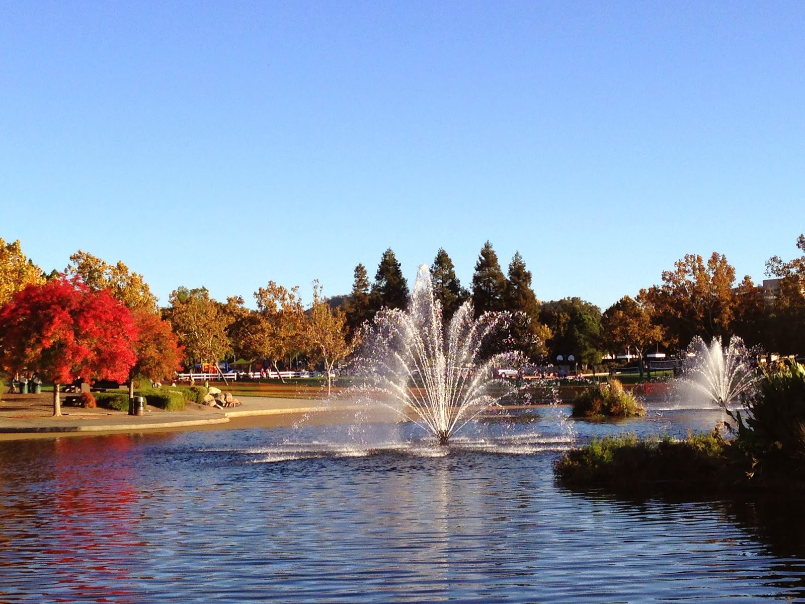 Chapter On Life In San Jose 14