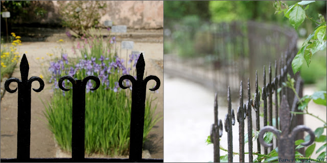 Ogród Botaniczny w Padwie Padwa