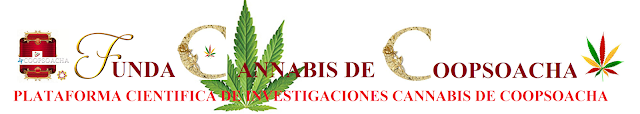 Resultado de imagen para COOPSOACHA LOGO