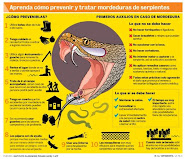 CARTEL DE PREVENCIÓN