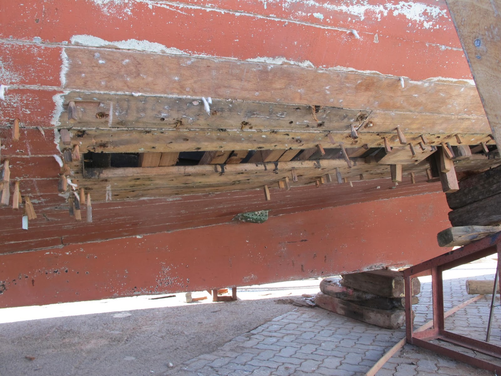 CKD Boats Roy Mc Bride Tree nails?