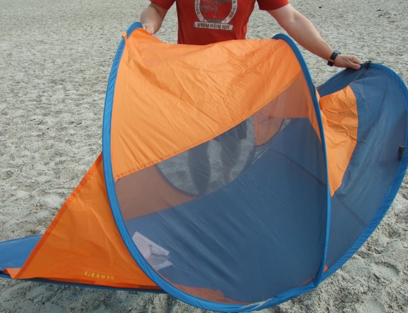 Strandmuschel Falten