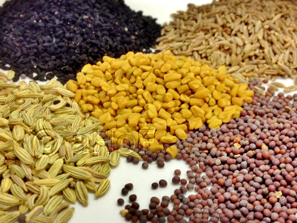 Nigella, Cumin, Fenugreek (center), Fennel, Brown Mustard Nigella, Cumin, Fenugreek (center), Fennel, Brown Mustard