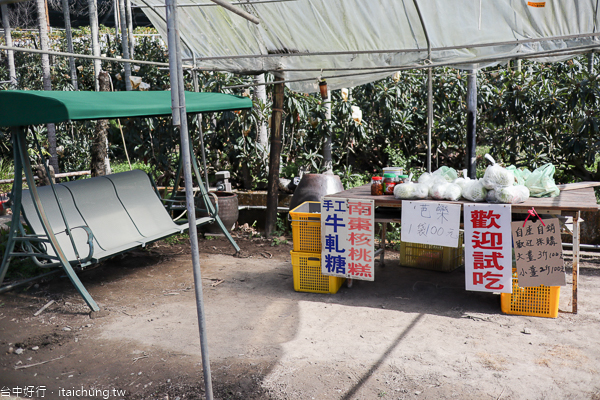 新社梅花隧道、小木屋鮭魚葡萄、梅花森林,台中賞梅花好去處 新社梅花隧道、小木屋鮭魚葡萄、梅花森林,台中賞梅花好去處