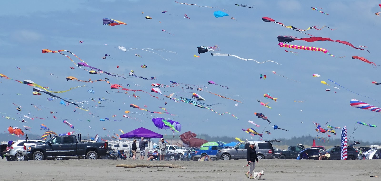 Ocean Shores and North Beach Real Estate along the Washington Coast
