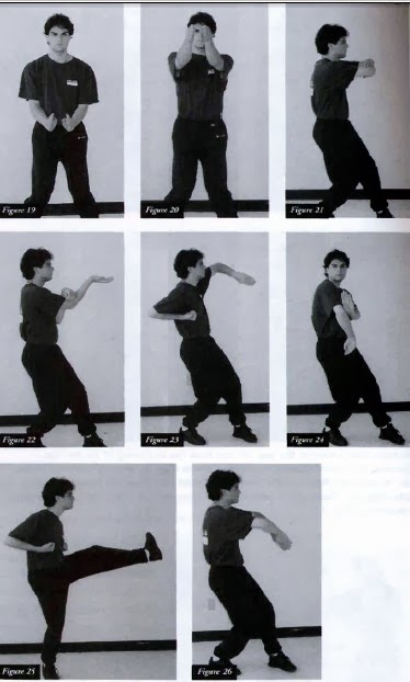 Wing Chun Manual Guide - Kumpulan ebook tutorial Wing Chun | Kirara