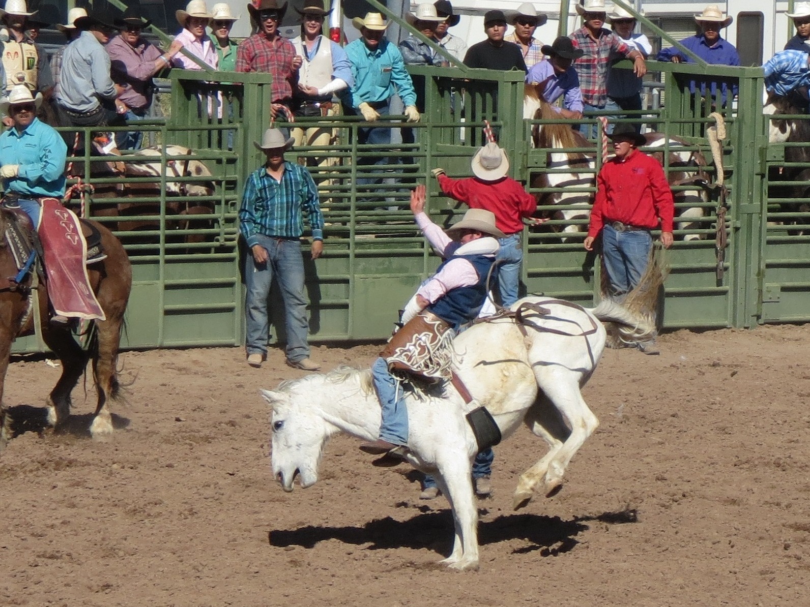 Meandering...: Lost Dutchman Days Rodeo & The Olive Mill