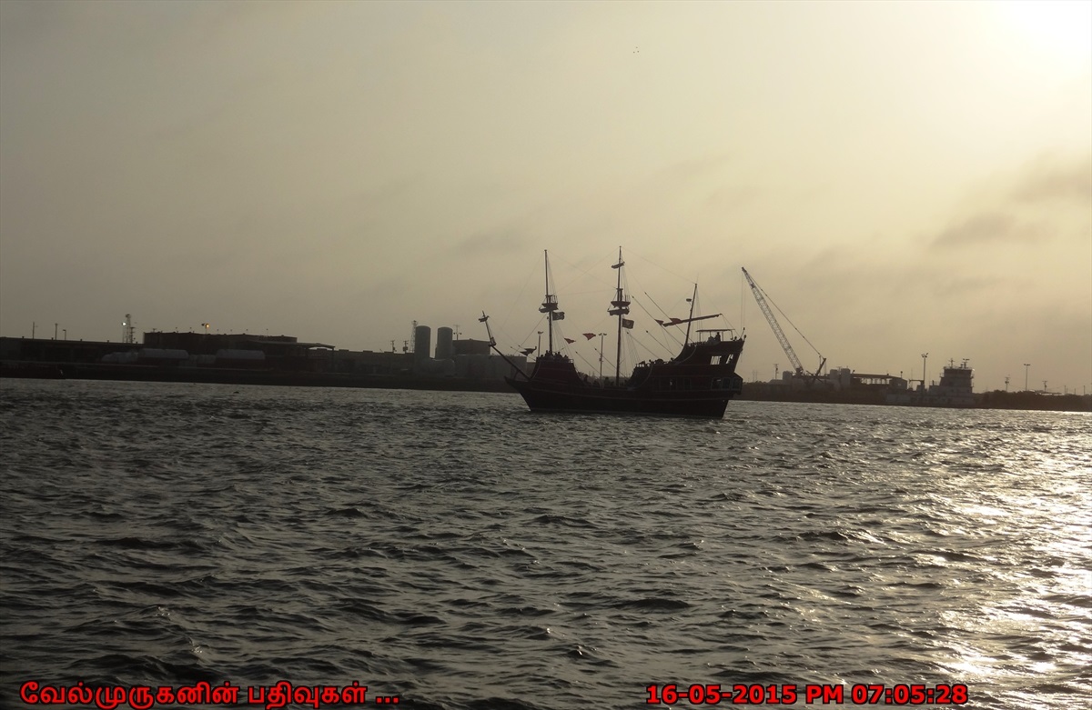 Dolphin Watch in Port Aransas - Exploring My Life