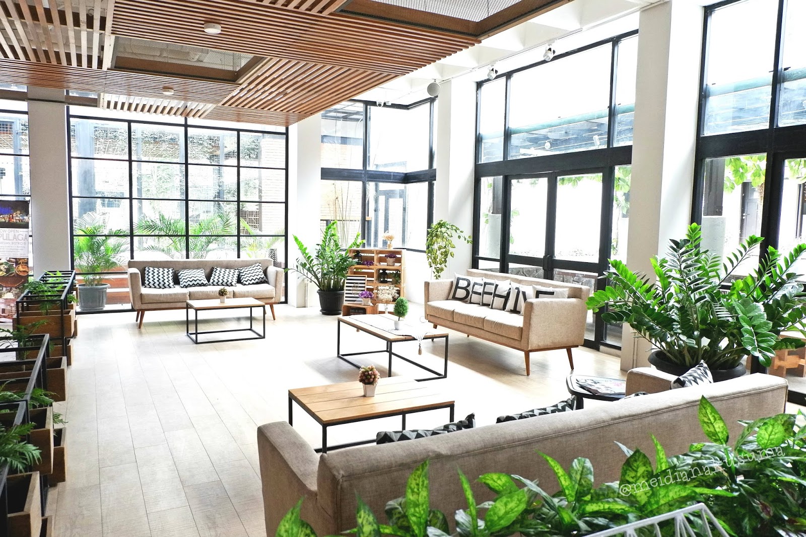 Beehive boutique hotel phuket. Beehive boutique hotel 4. Anchanlina. Beehive boutique hotel 4. Beehive boutique hotel 4.