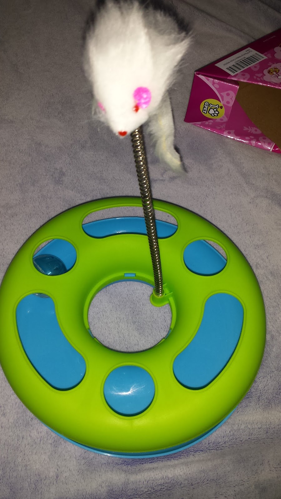 Kait Reviews Happy Circle Cat Toy