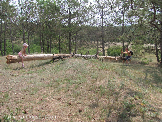 симферопольское водохранилище