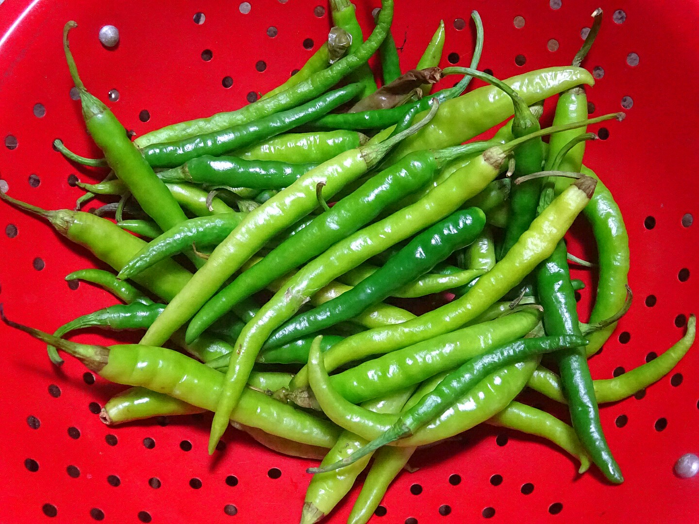 Veg Indian Cooking Instant Green Chilli Pickle