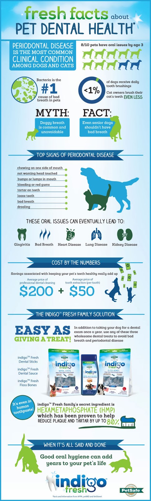 Dog dental health infographic