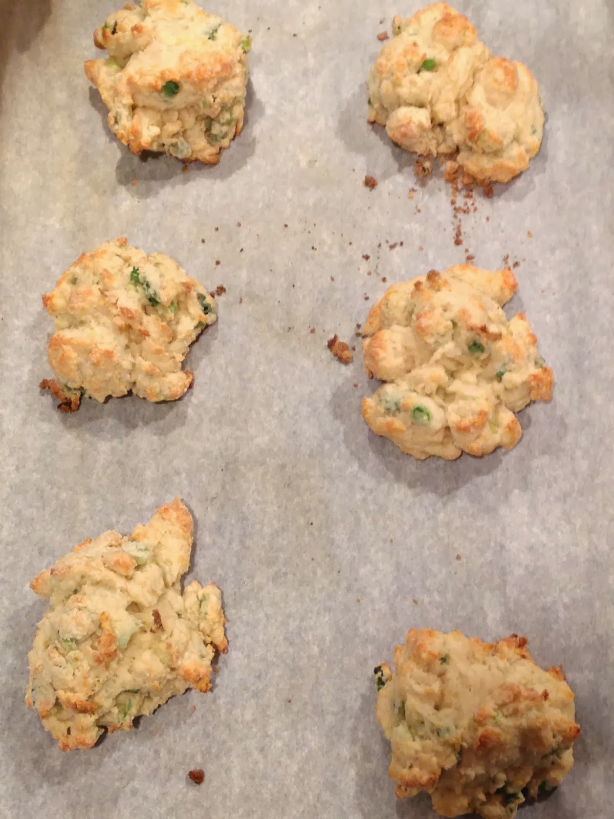 Cheese Curd In Paradise Green Onion Drop Biscuits