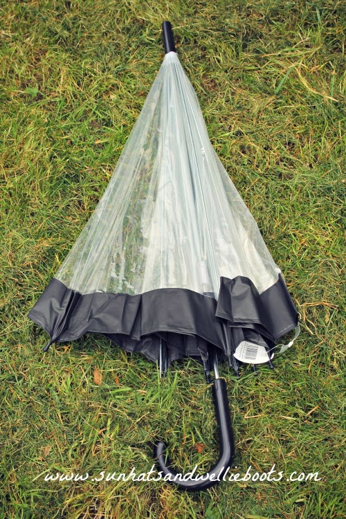 Sun Hats & Wellie Boots How to make your own Biodome with an old Umbrella!
