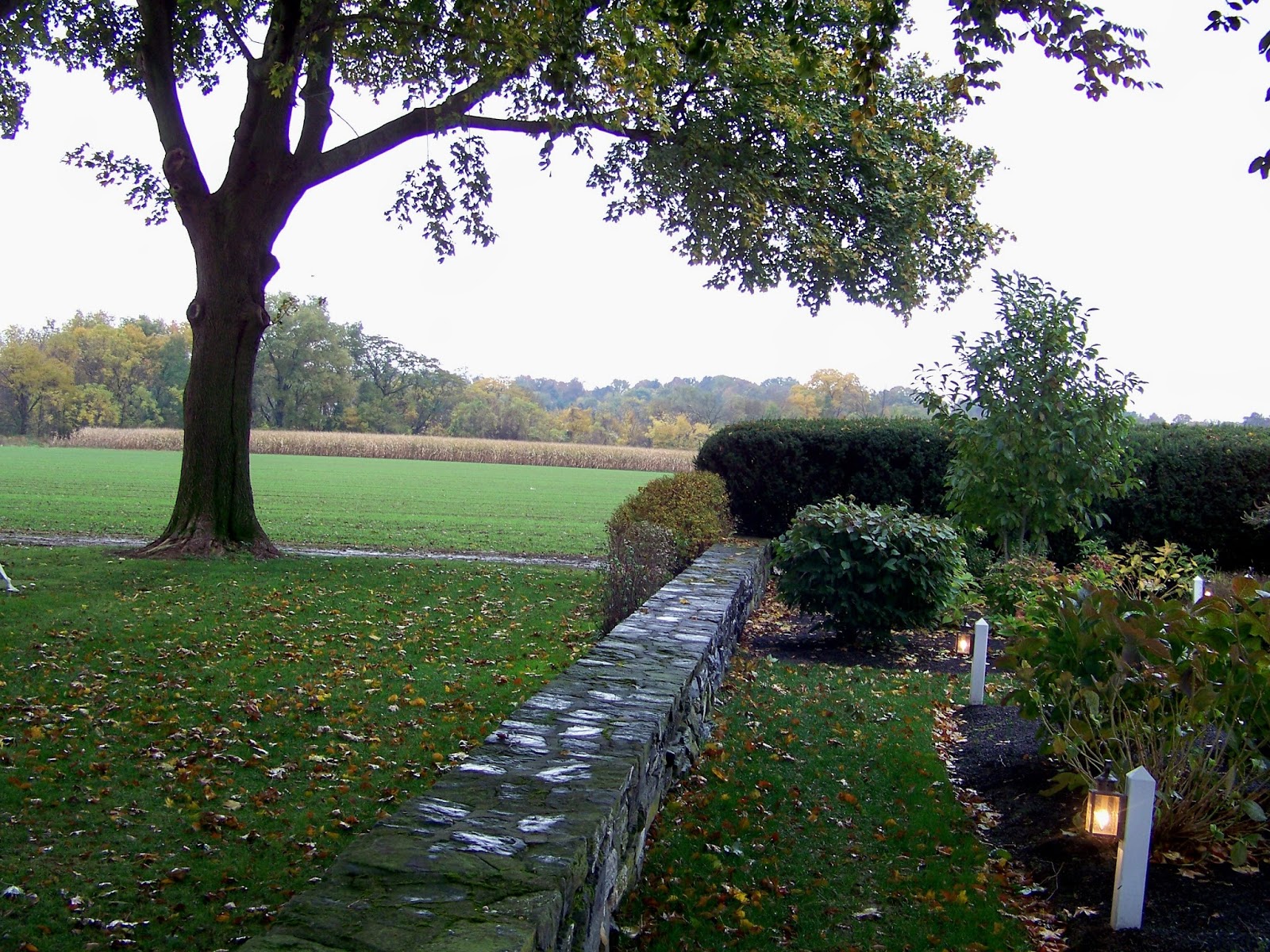 Dog Fence Life. Just mending fences.....