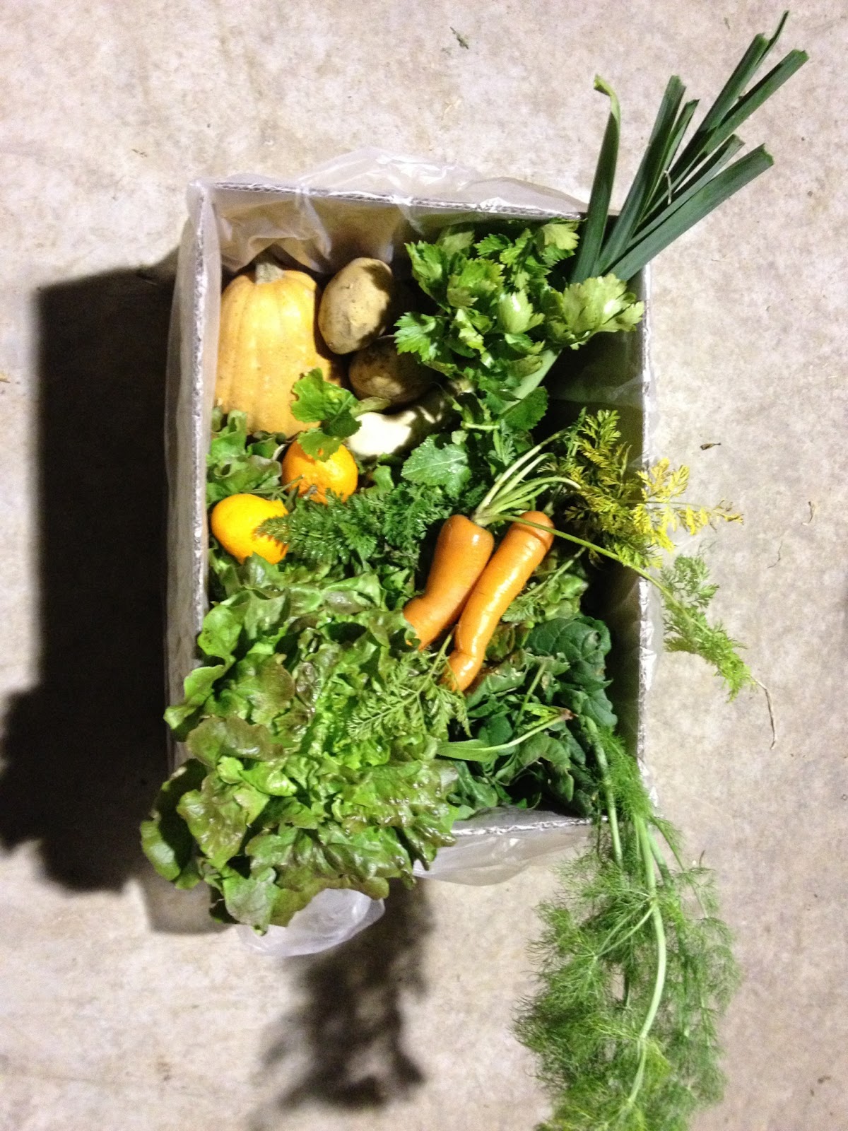 Cestas del Campo a Casa, verdura