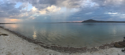 Shark Bay Langebaan