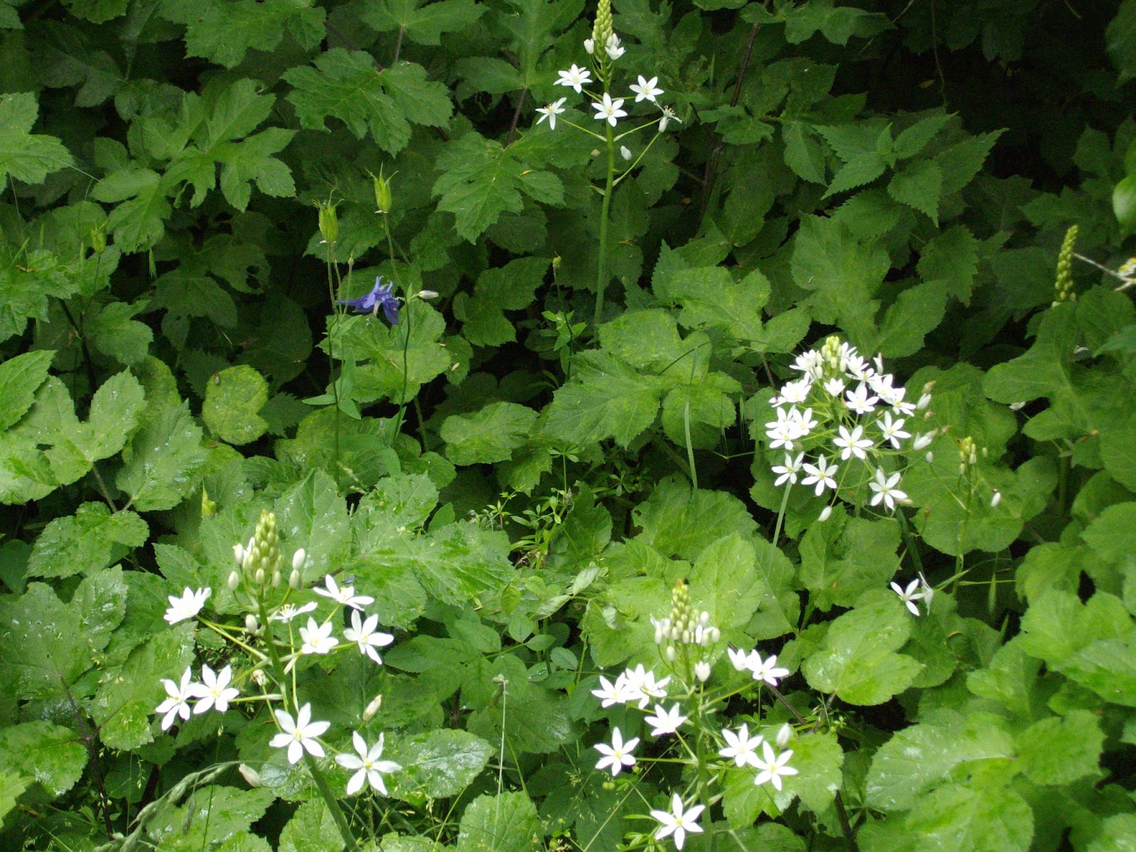 Citaat Anton Tjechov