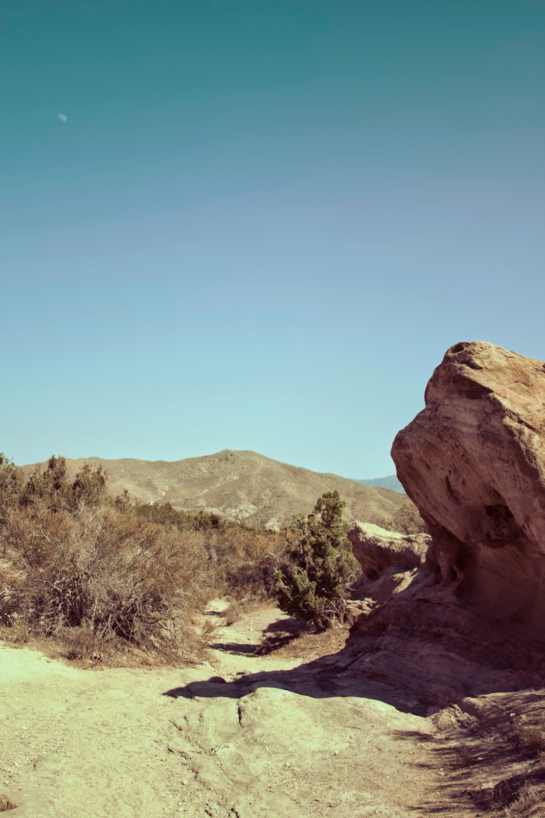 kelsey stefanson / art direction + graphic design + photography