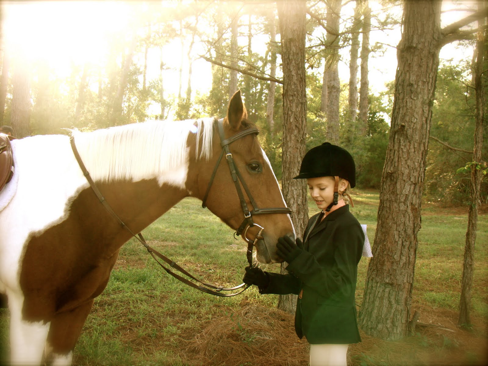 Rocking Horse Stables