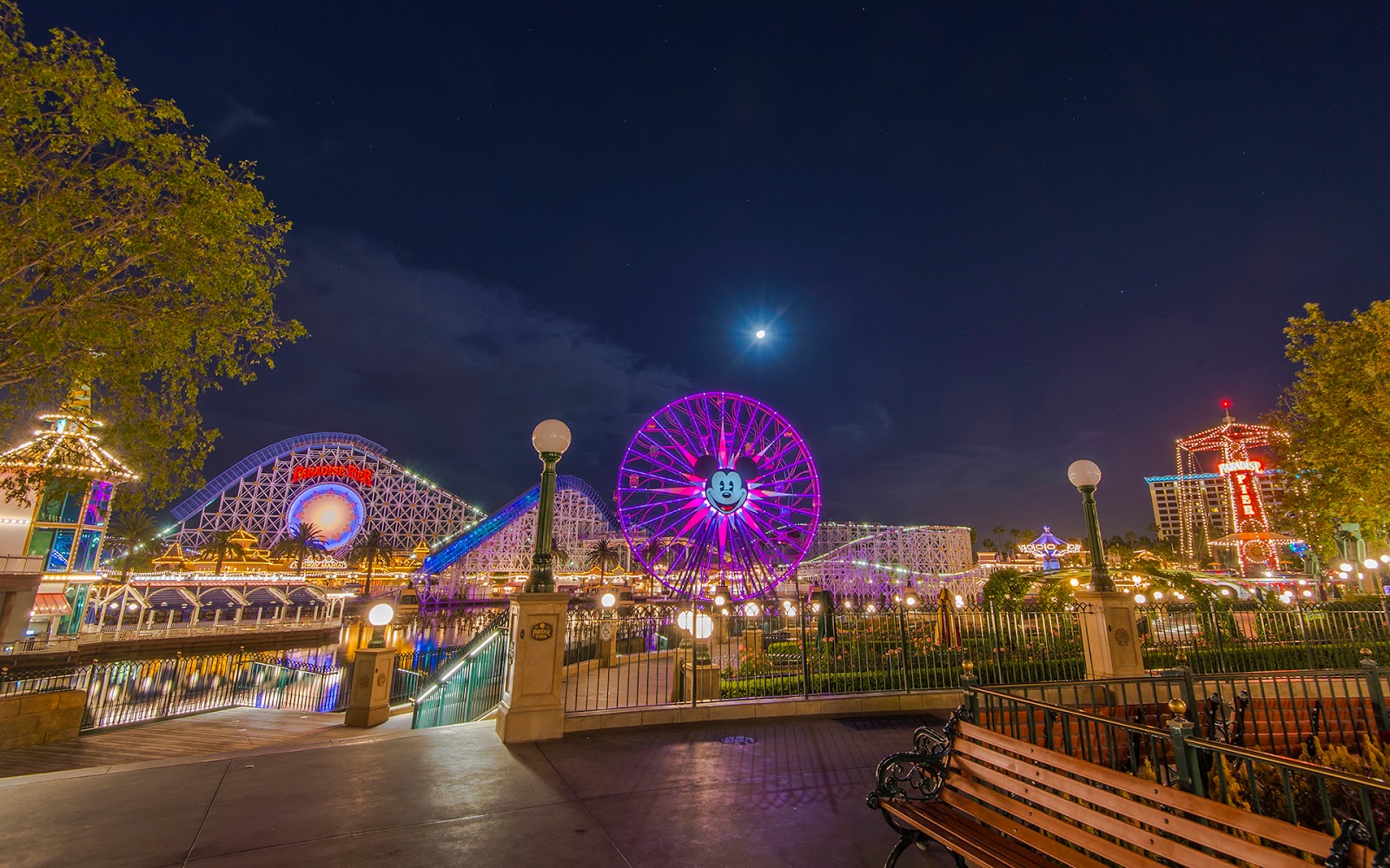 Nighttime Illumination at the Park