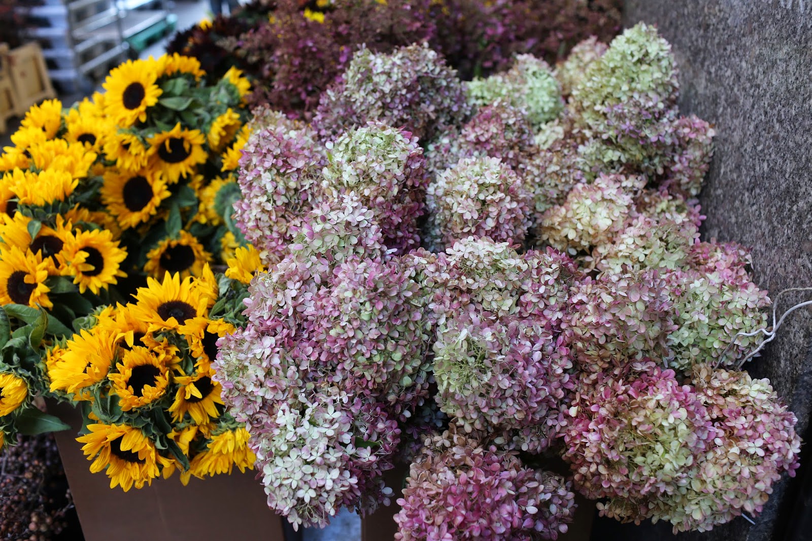 May Floral New York City's Flower District