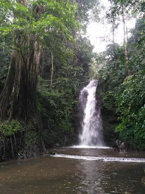 Curug Putri, Tersembunyi Di Balik Hutan Pinus Ciremai