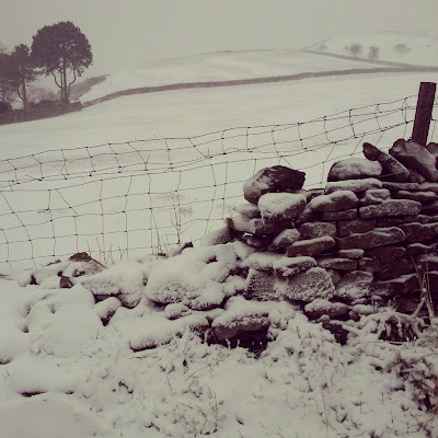 Yorkshire Dales Snow