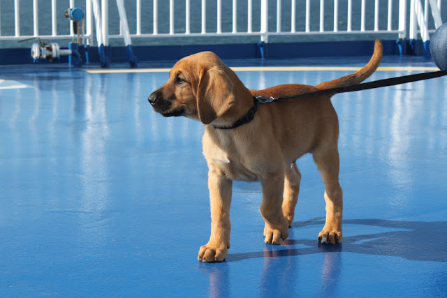 10 kuvaa ja tarinaa matkoiltamme 1