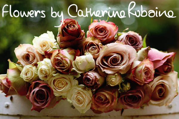 Flowers by Catherine Rubaine