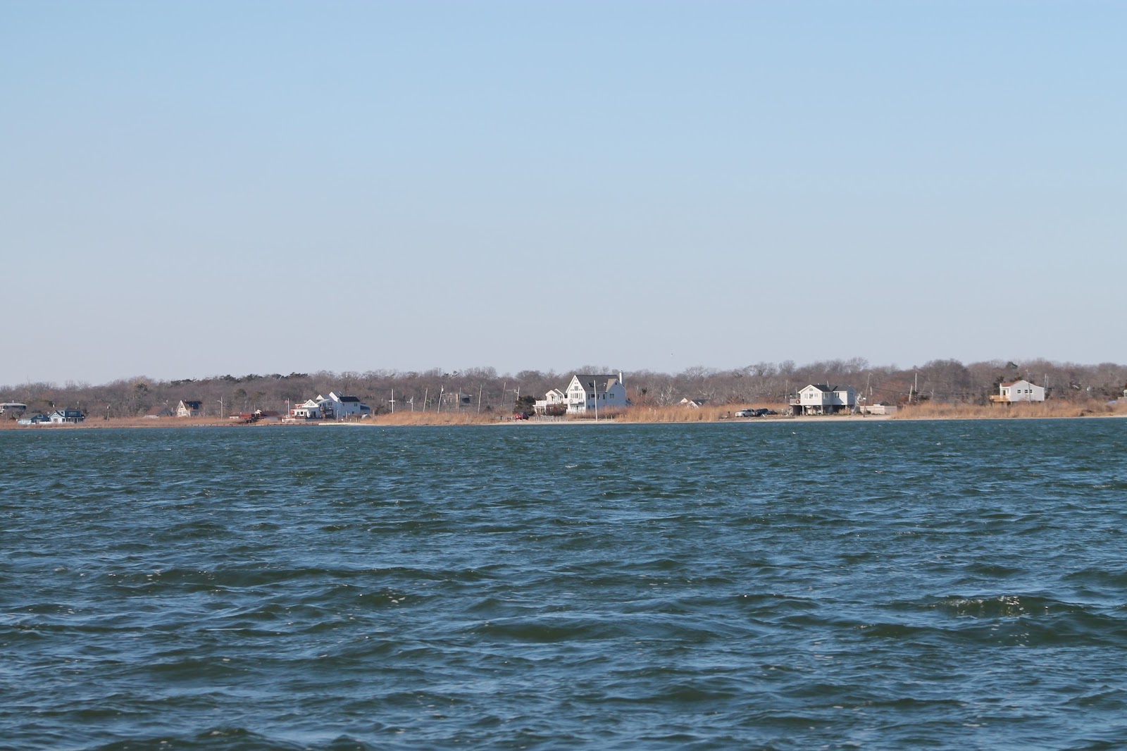 The Natural World of Mastic Beach