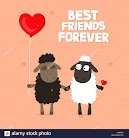 Adorable Funny Sheeps Images Love Special Valentines Hd