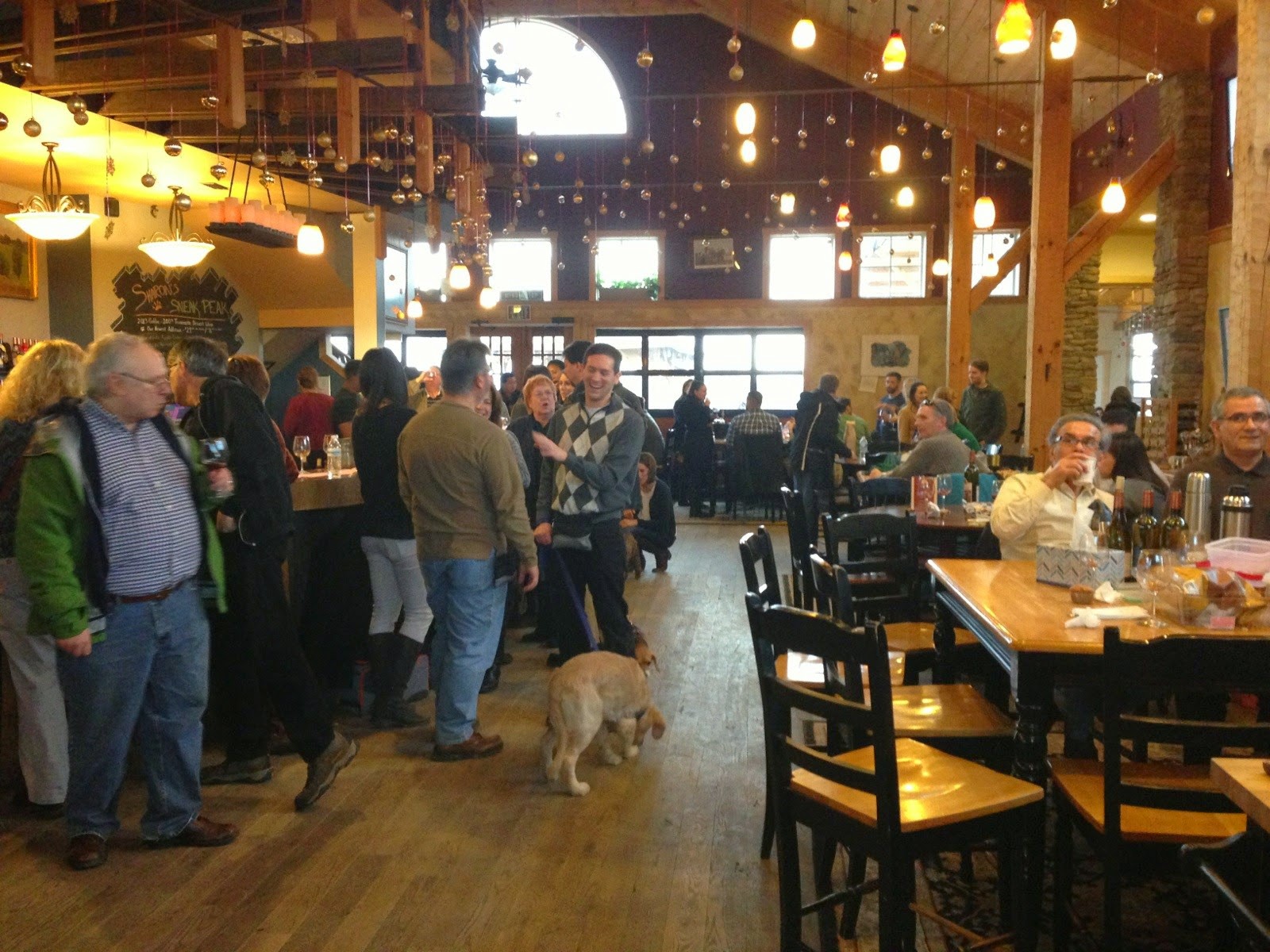 pawsgo A Winter Trip to Virginia’s Dog Friendly Wineries