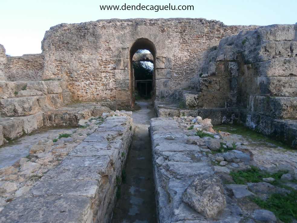 dendecaguelu Termas de Antonino, en Cartago (Túnez).