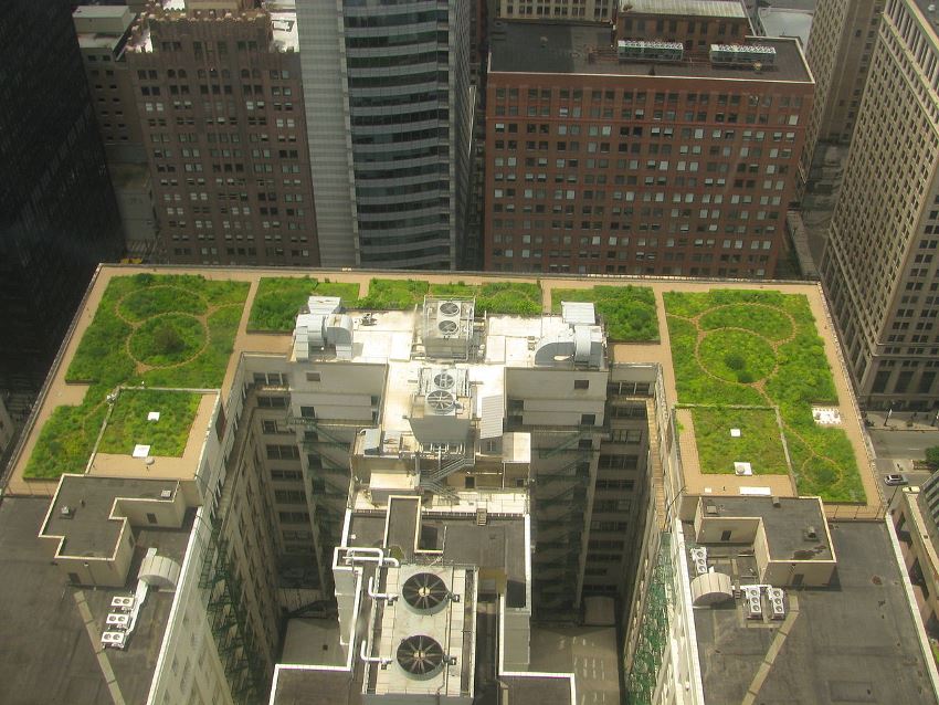 New Rooftops in France Now Must Be Covered in Plants or Solar Panels