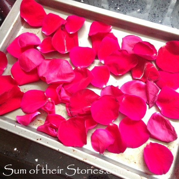 How to dry Rose Petals Sum of their Stories