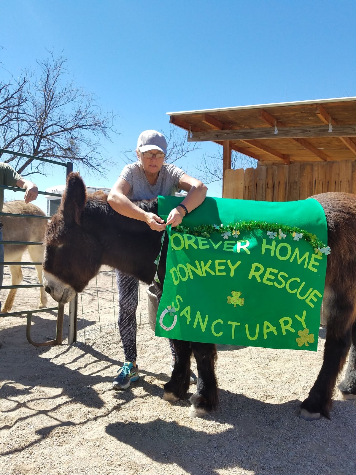 Blackjack turbo washer