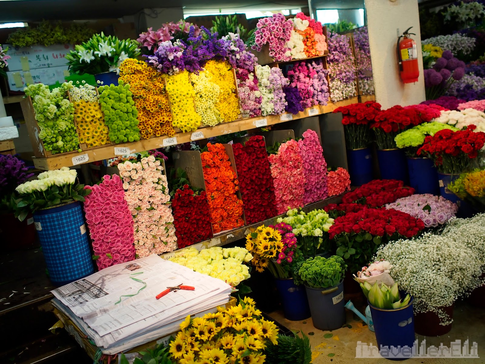 Yangjae Flower Market Travellerelf
