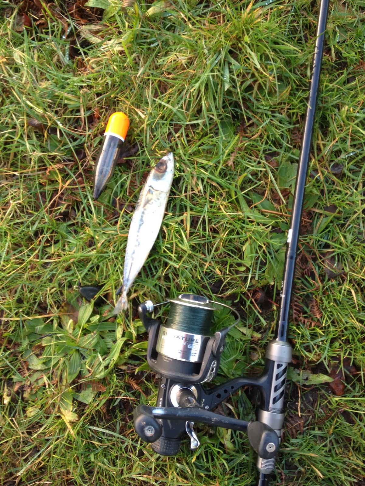Danny's Angling Blog Chub Fishing and the Dead baiting for Pike begins