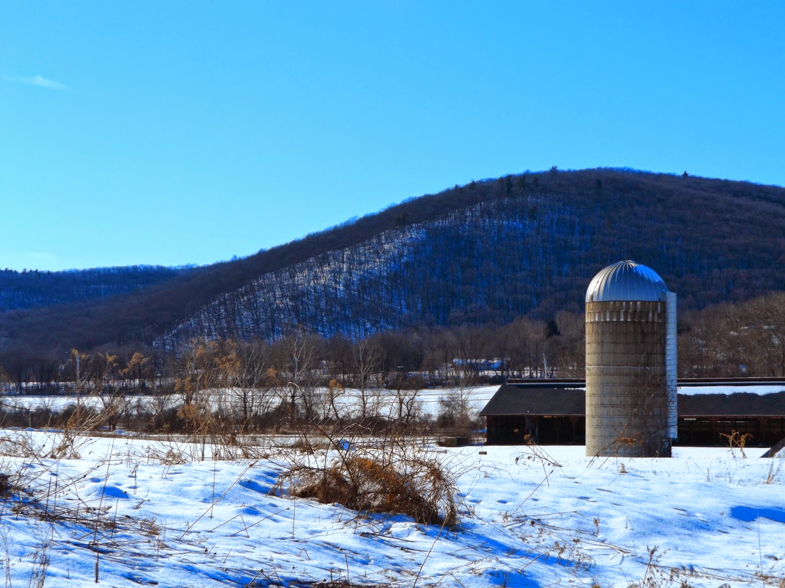 Walking Man 24 7 Roeliff Jansen Park(Columbia County)