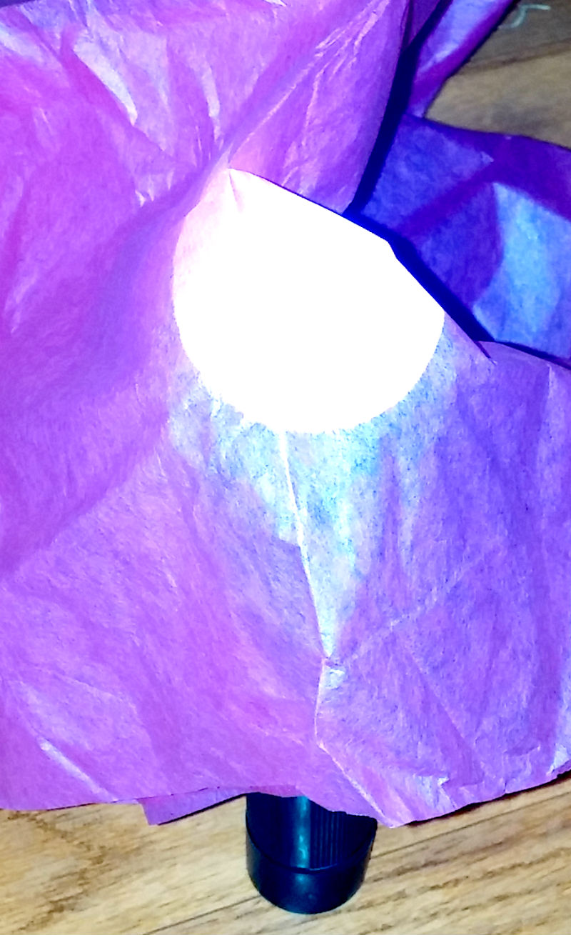 Colored Light Science Experiment Preschool Powol Packets