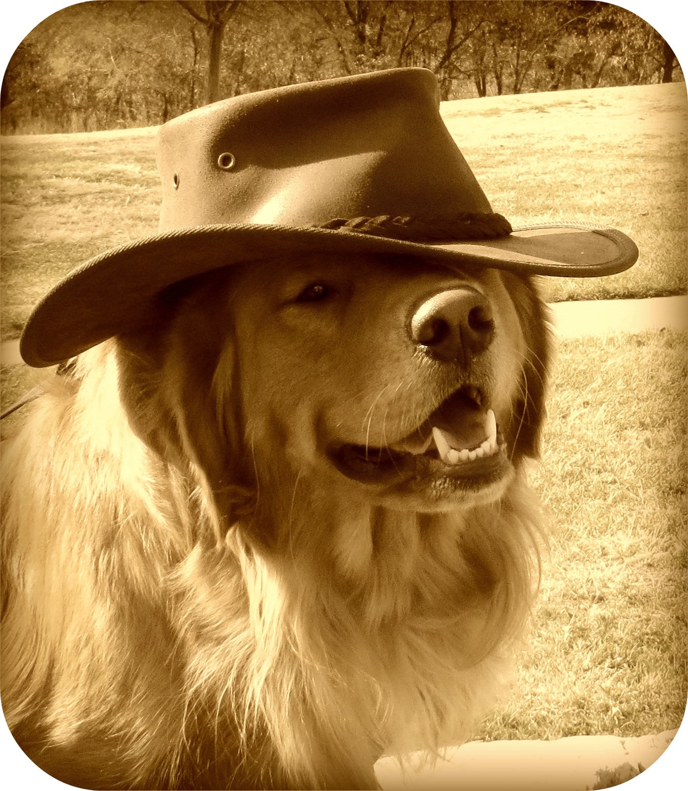 The Cutest Darn Cowdog in the Whole Wide West Columbia, MD Patch