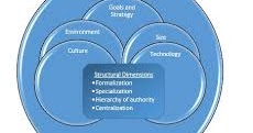 Organizational Theory: DIMENSIONS OF ORGANIZATION DESIGN