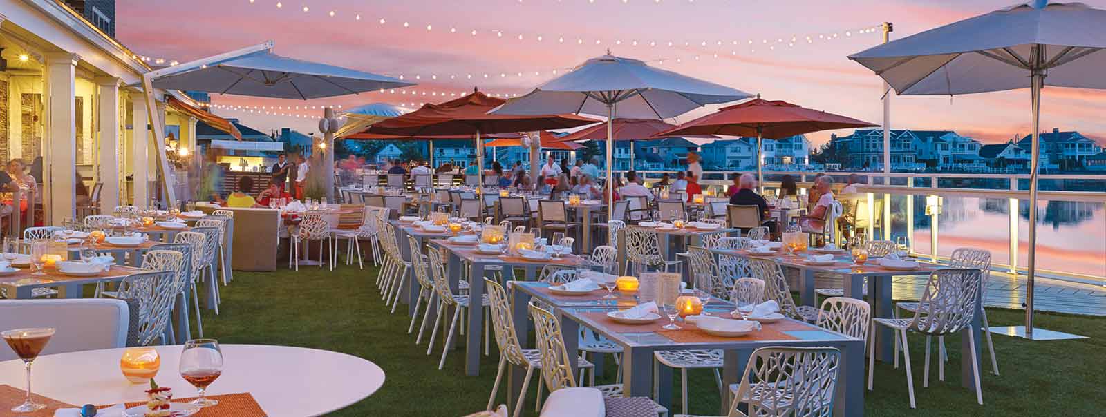 the reeds at shelter haven USA News Collections