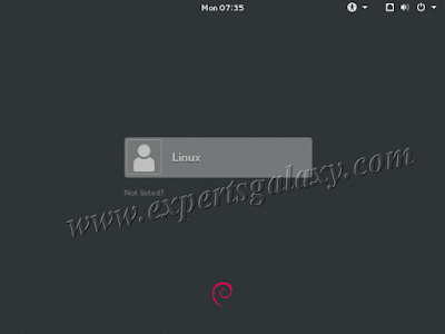 Debian Linux Login Screen