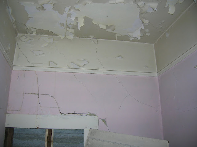 Bath Renovation in Historic Hom