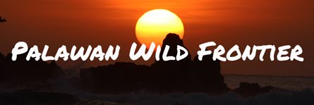 Palawan Wild Frontier Blog Copyright