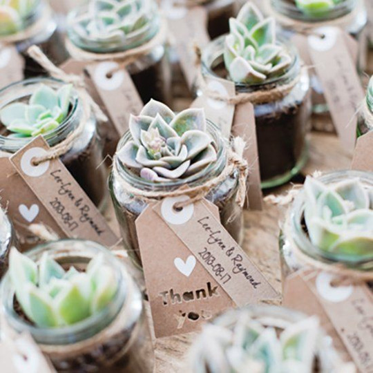 Wedding Ideas Blog Lisawola How To Diy Unique Favors For Green Plant Diy Wedding Favors